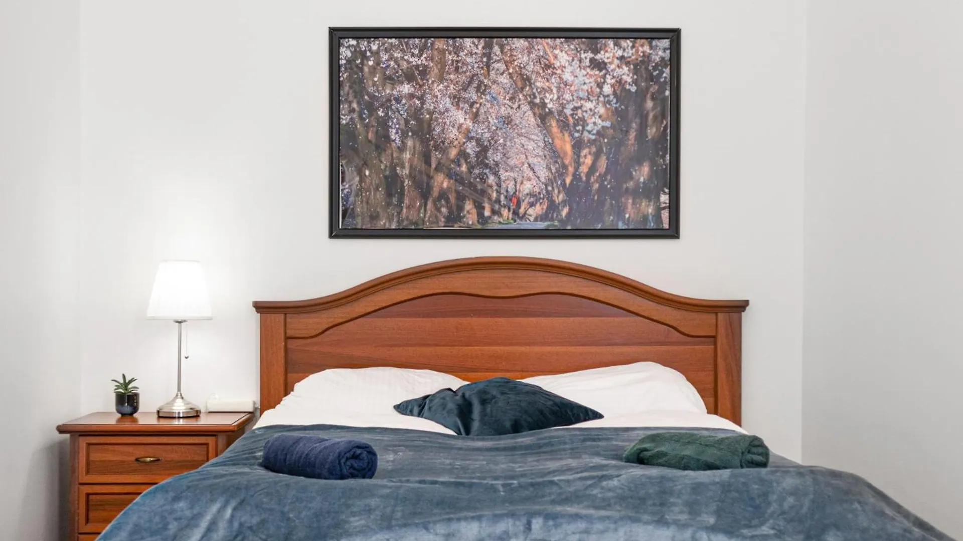 Modern 1Br Apt Tv & Wifi, Well Connected Vienna 0*,  Austria